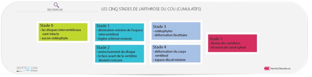 Les cinq stades de l'arthrose du cou (cervicale). Algorythme et graphique.