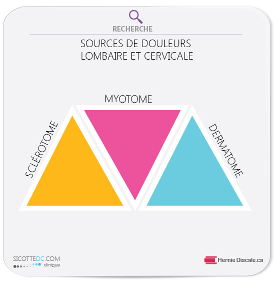 Les douleurs aux bras (brachialgie) peuvent provenir de trois structures anatomiques qui proviennent du cou par cause d’arthrose cervicale