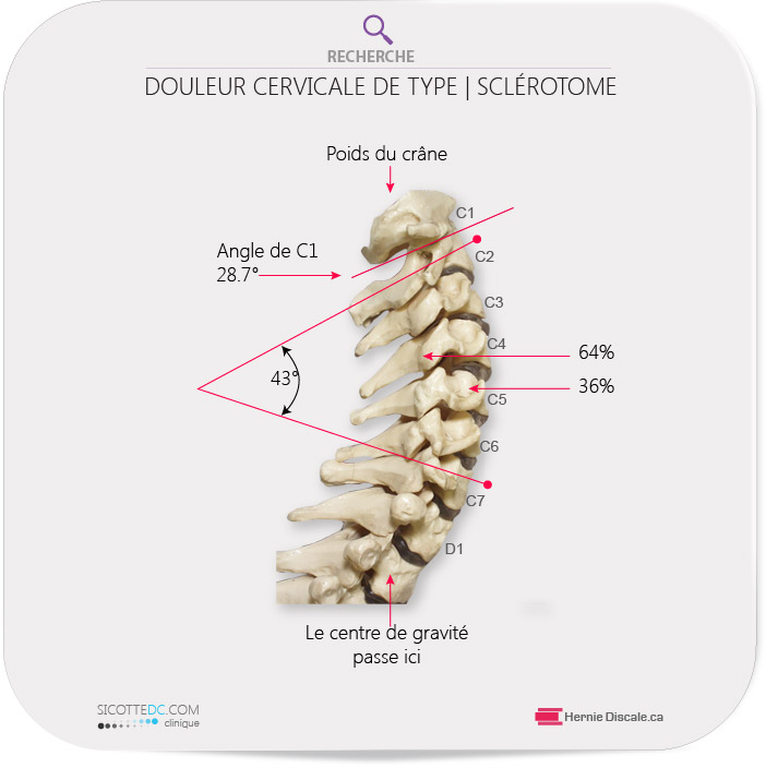 Les angles de la colonne vertébrale cervicale.